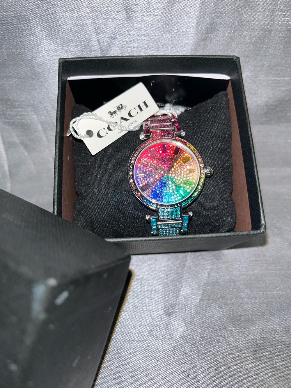 Cary Rainbow Coach Watch - Picture 6 of 14